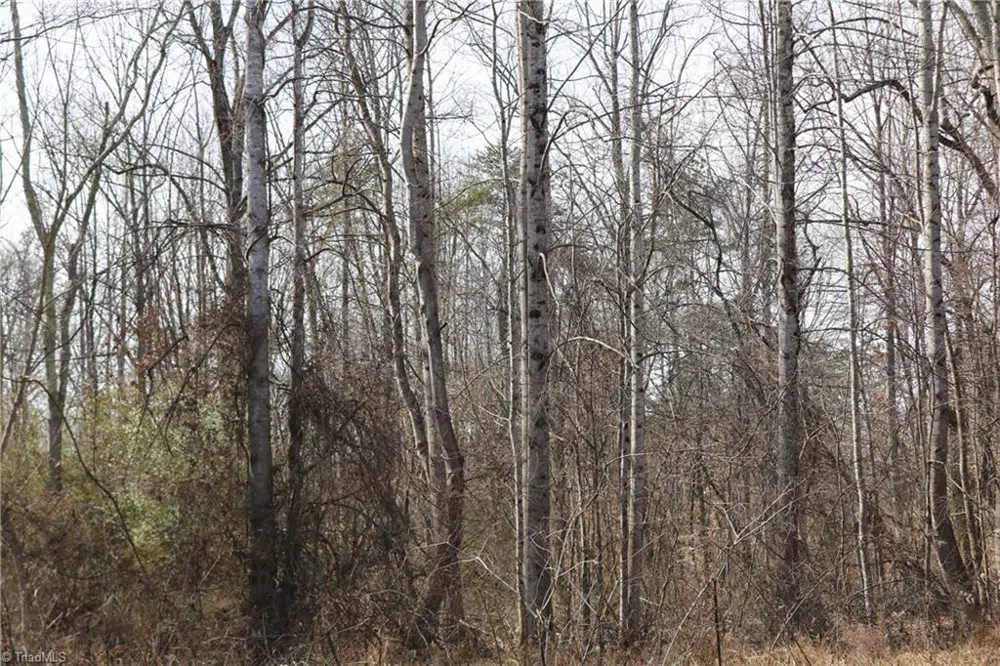 0 Jones Chapel Road Reidsville, NC 27320