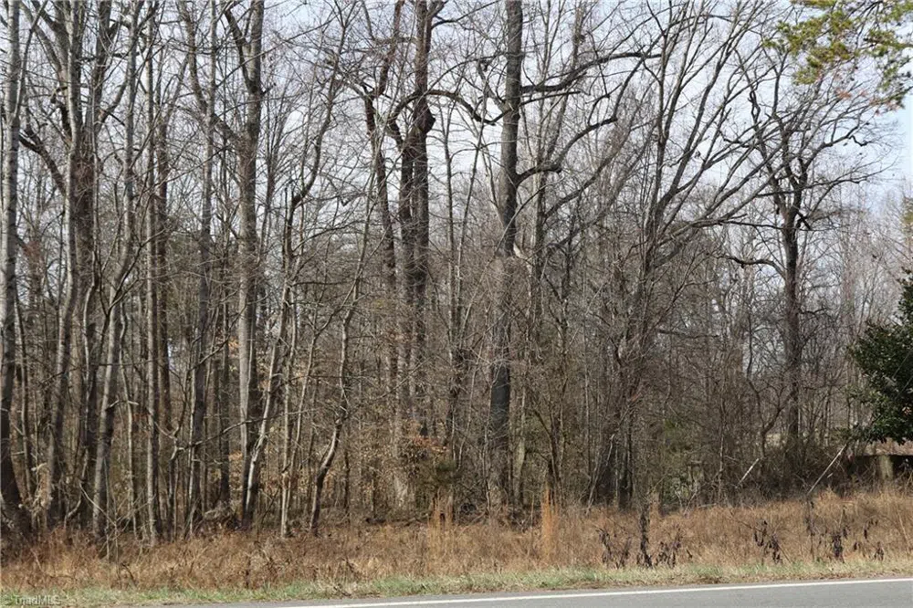0 Jones Chapel Road Reidsville, NC 27320
