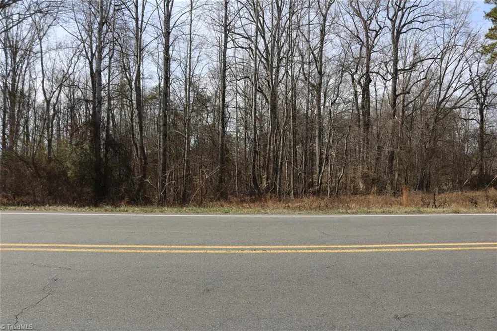 0 Jones Chapel Road Reidsville, NC 27320