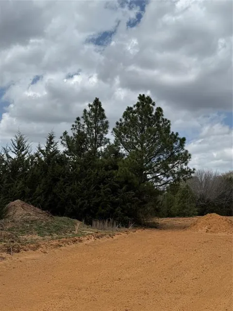 3552 FM 3136 LOT 4