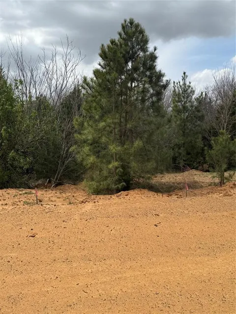 3552 FM 3136 LOT 13
