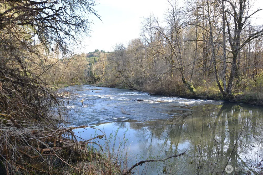 1397 State Route 506 Vader, WA 98593