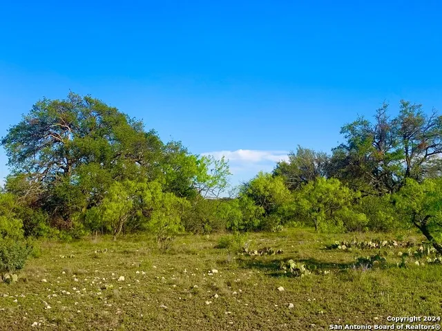 4703 Scenic Lake Dr Schertz, TX 78154