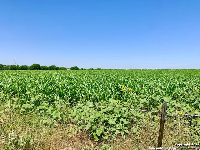 4703 Scenic Lake Dr Schertz, TX 78154