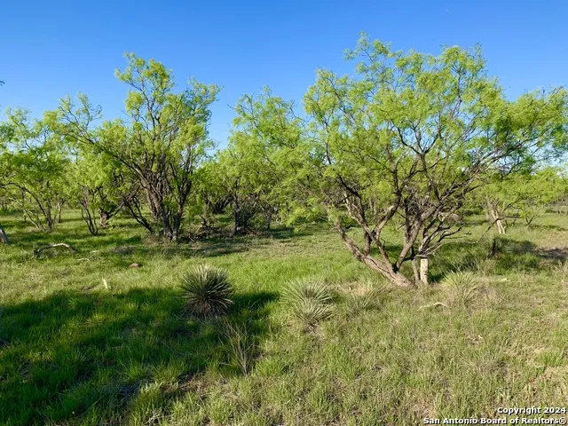 4703 Scenic Lake Dr Schertz, TX 78154