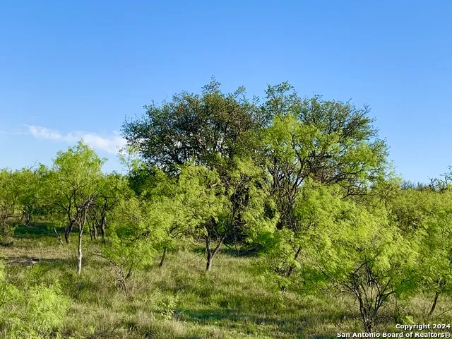 4703 Scenic Lake Dr Schertz, TX 78154