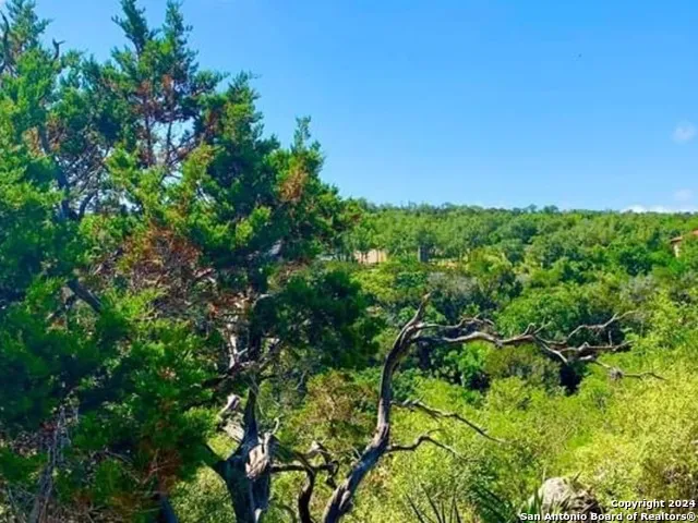 4703 Scenic Lake Dr Schertz, TX 78154