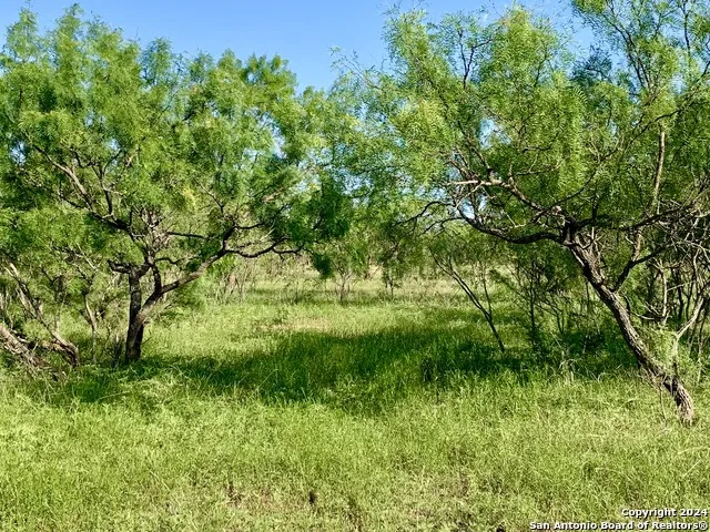 4703 Scenic Lake Dr Schertz, TX 78154