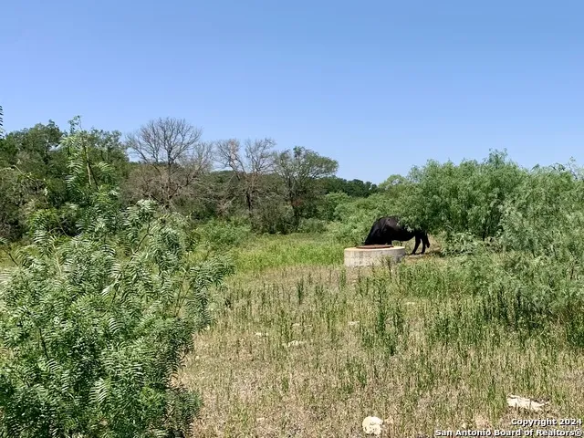 4703 Scenic Lake Dr Schertz, TX 78154