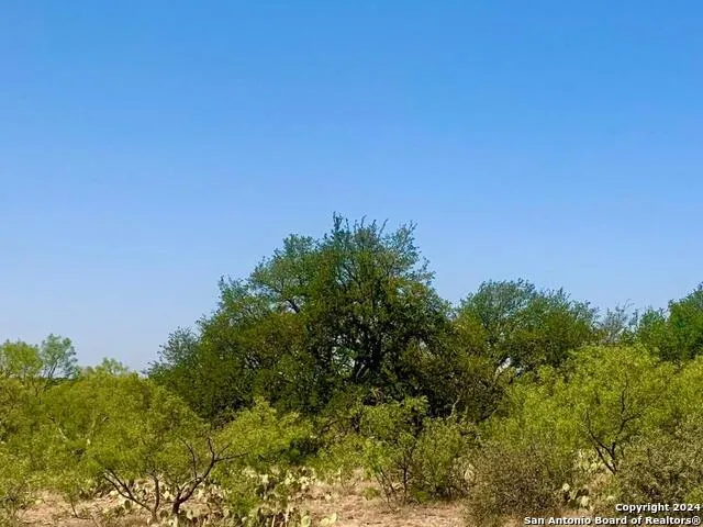 4703 Scenic Lake Dr Schertz, TX 78154