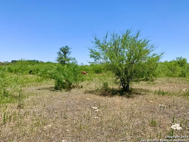 4703 Scenic Lake Dr Schertz, TX 78154