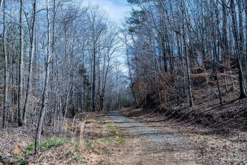 99999 Abrams & Moore Road Mill Spring, NC 28756