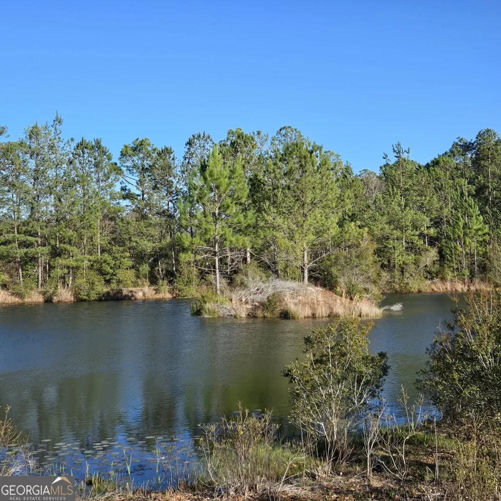 2606 Beechwood DR Jesup, GA 31545