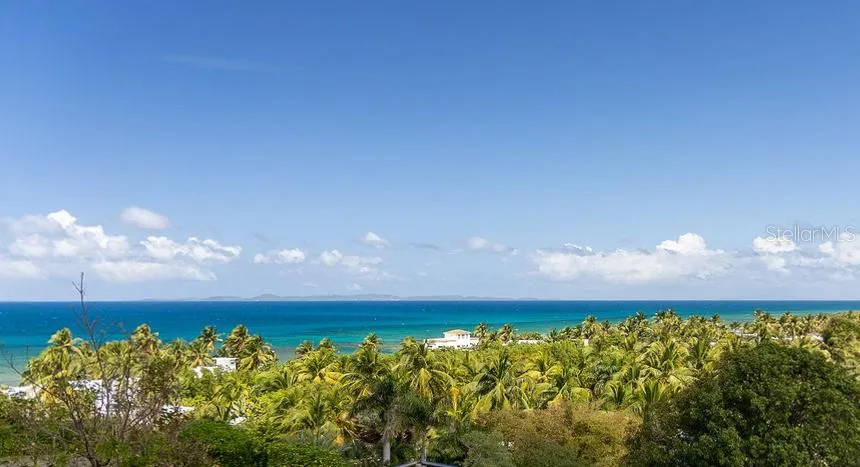 310 BRAVOS DE BOSTON Vieques, PR 00765