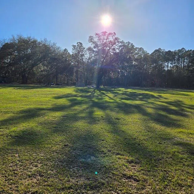 2636 Beechwood Drive Jesup, GA 31545