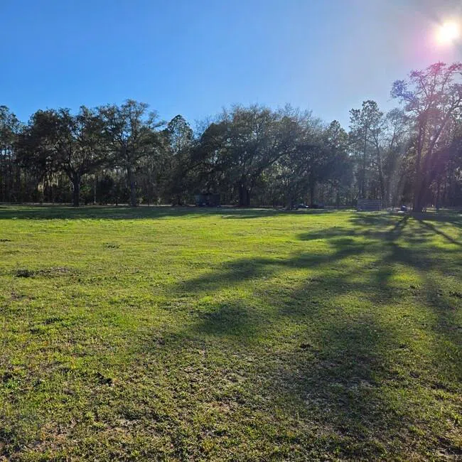 2636 Beechwood Drive Jesup, GA 31545