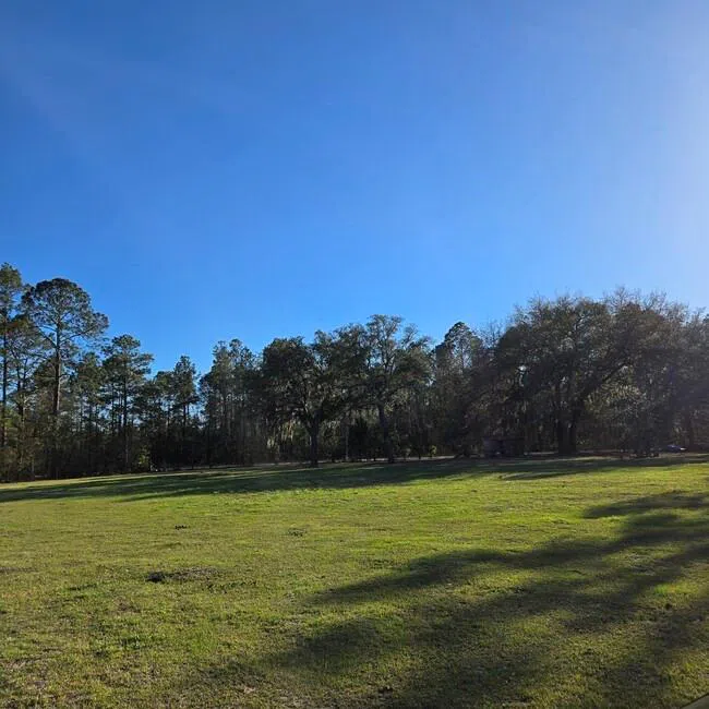 2636 Beechwood Drive Jesup, GA 31545