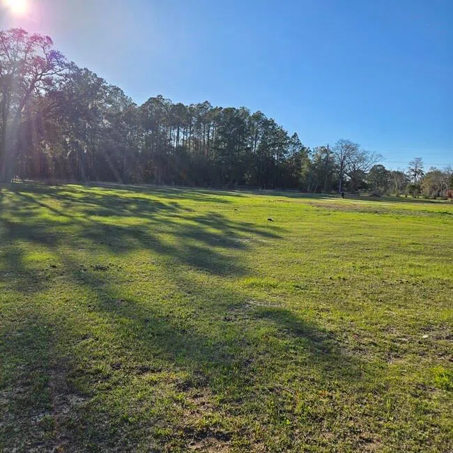 2636 Beechwood Drive Jesup, GA 31545