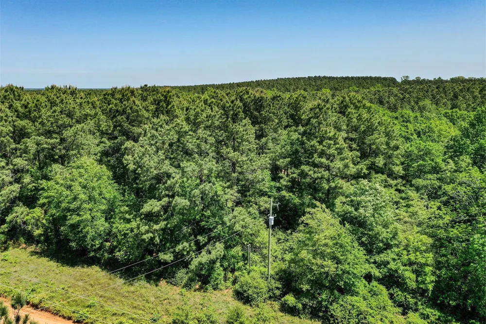18 Cr 1050 Crockett, TX 75835