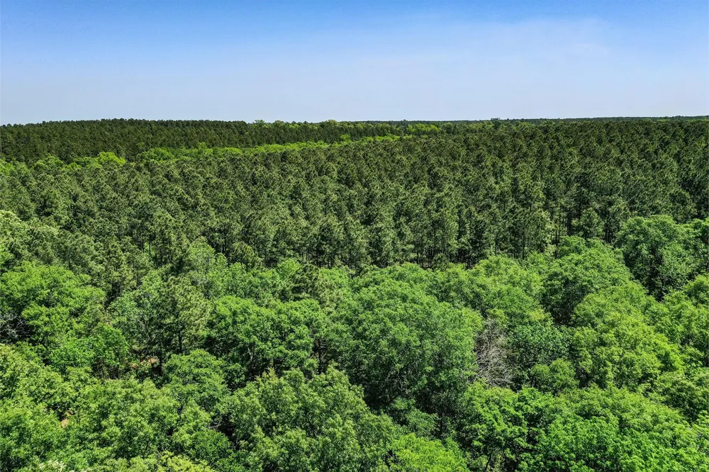 18 Cr 1050 Crockett, TX 75835