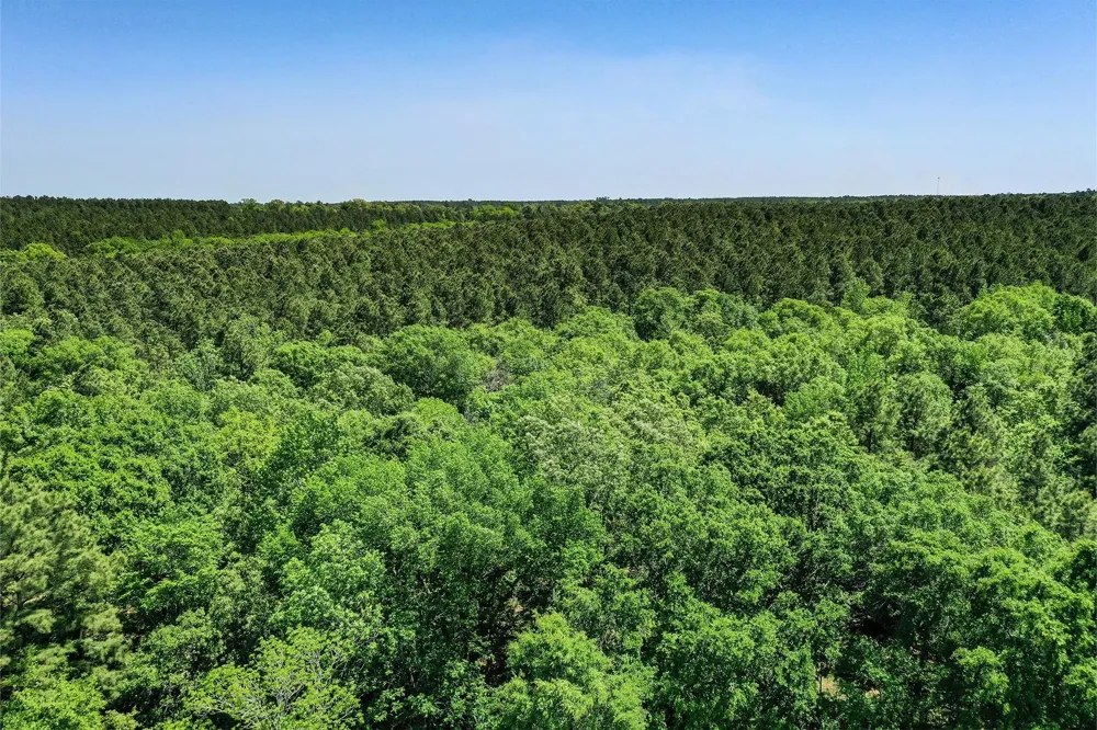18 Cr 1050 Crockett, TX 75835