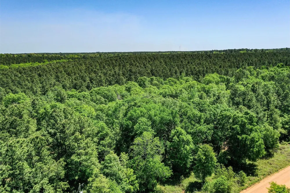 18 Cr 1050 Crockett, TX 75835