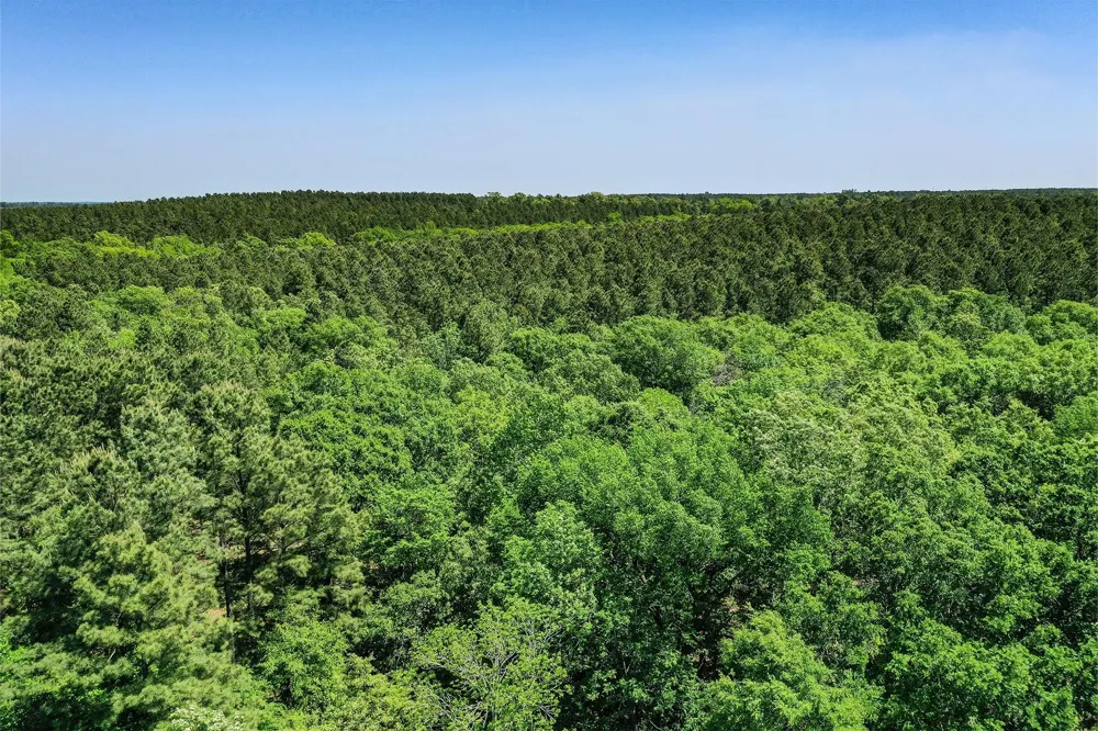 18 Cr 1050 Crockett, TX 75835