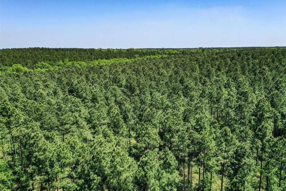 18 Cr 1050 Crockett, TX 75835