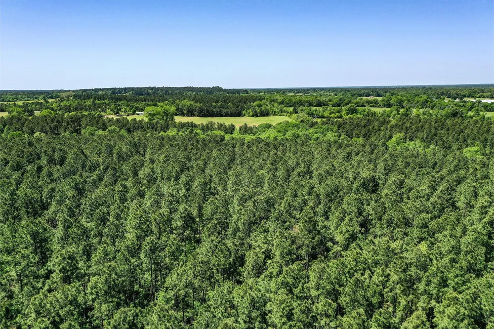18 Cr 1050 Crockett, TX 75835