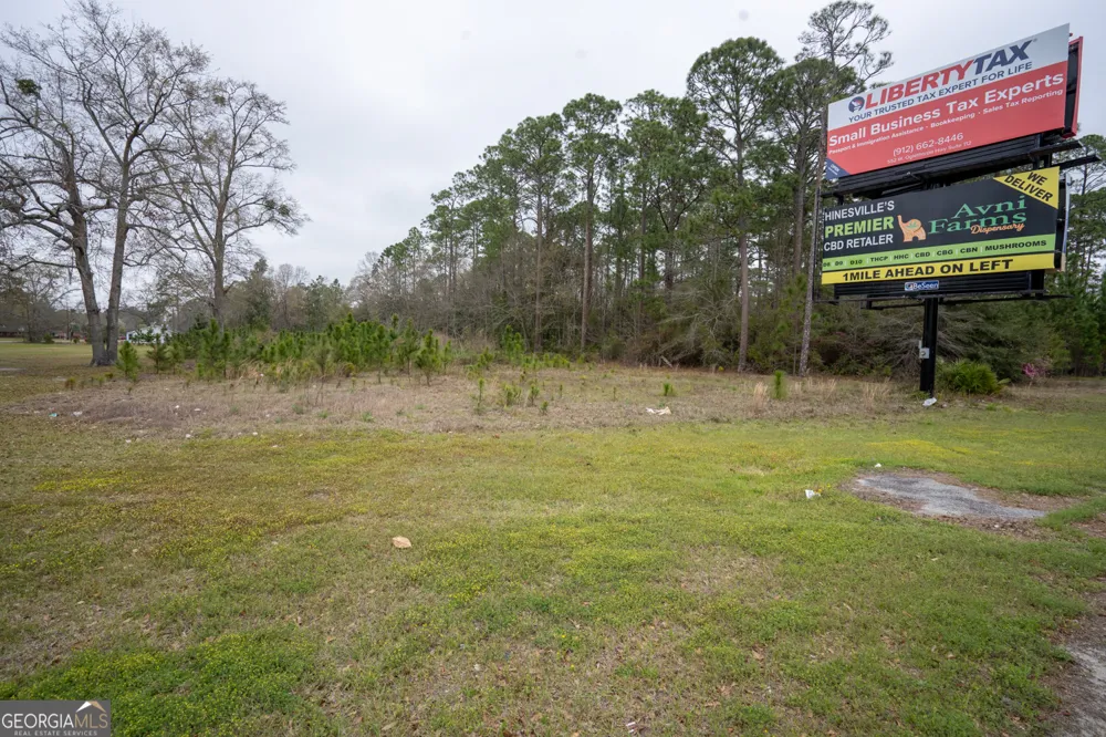 1.09 AC Elma G Miles PKWY Hinesville, GA 31313