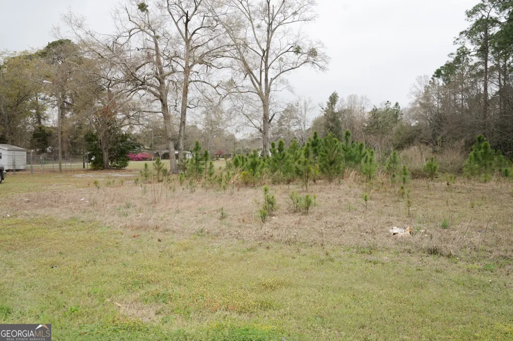 1.09 AC Elma G Miles PKWY Hinesville, GA 31313