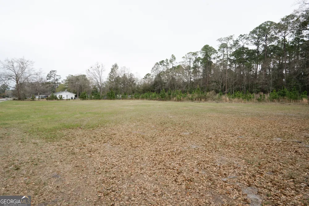 1.09 AC Elma G Miles PKWY Hinesville, GA 31313