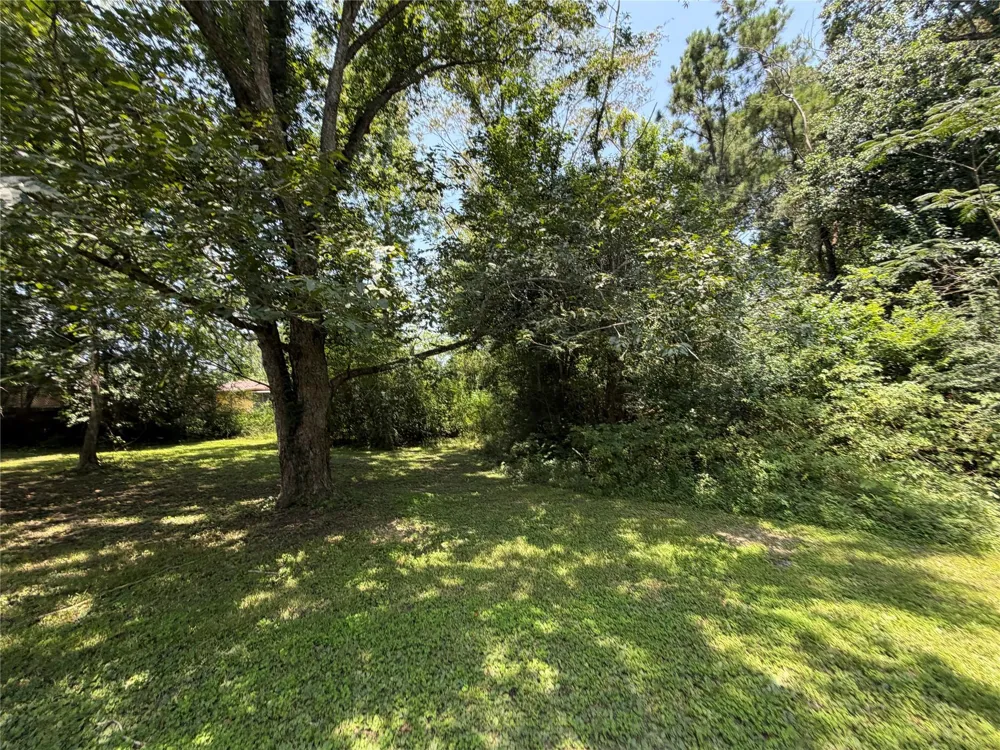 509 E Martin Luther King Boulevard Jasper, TX 75951