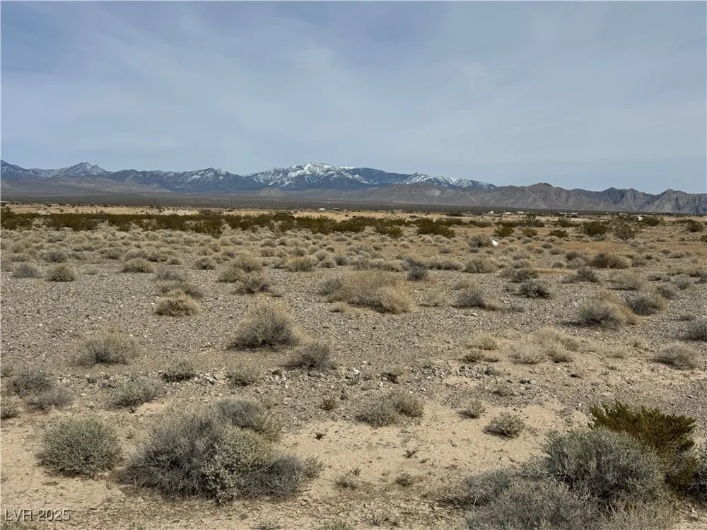 731 Emery Street Pahrump, NV 89060