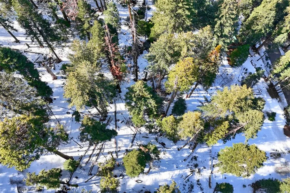 7420 Henness Ridge Road Yosemite, CA 95389