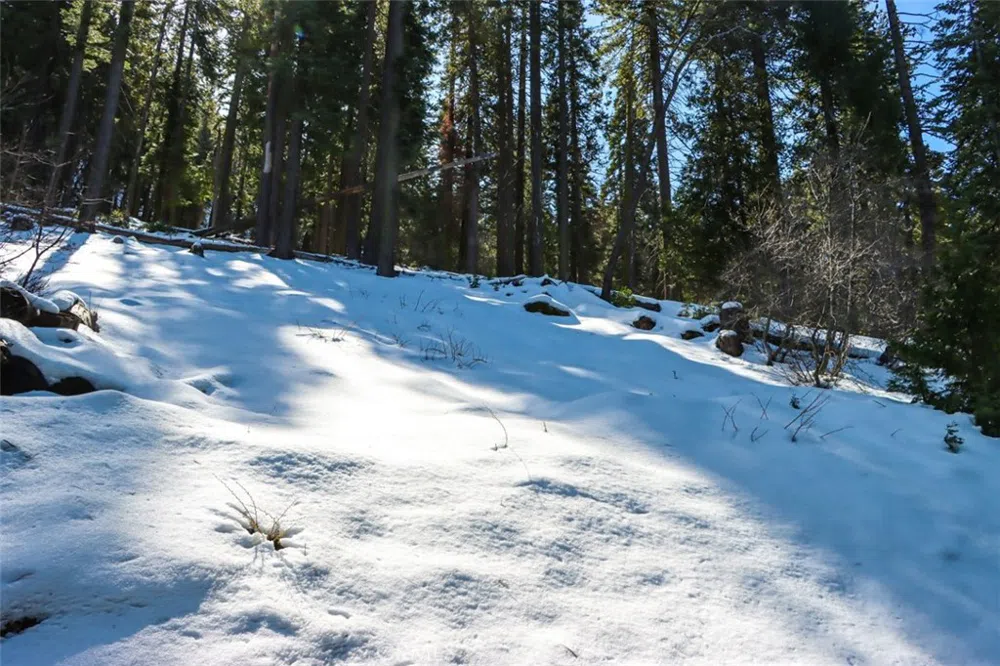 7420 Henness Ridge Road Yosemite, CA 95389