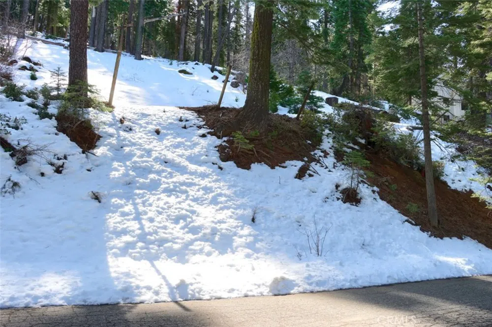 7420 Henness Ridge Road Yosemite, CA 95389