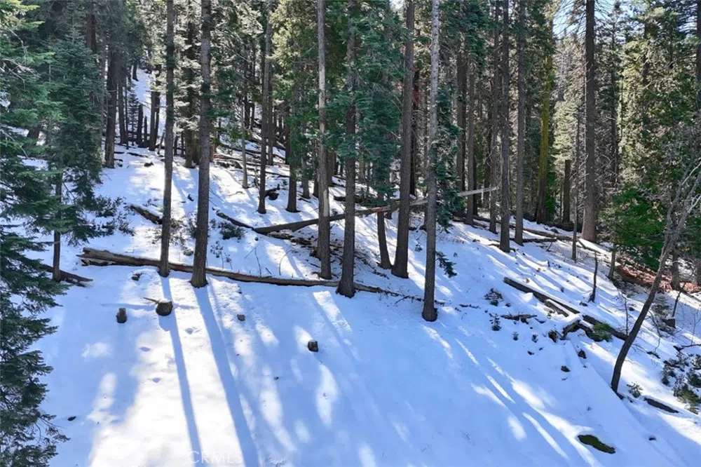 7420 Henness Ridge Road Yosemite, CA 95389
