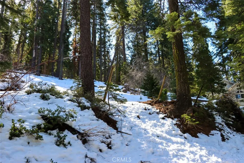 7420 Henness Ridge Road Yosemite, CA 95389