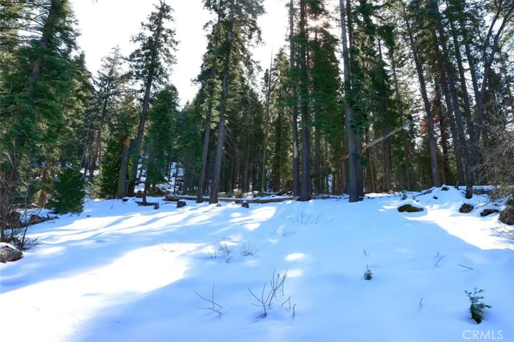 7420 Henness Ridge Road Yosemite, CA 95389