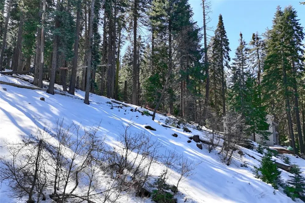 7420 Henness Ridge Road Yosemite, CA 95389