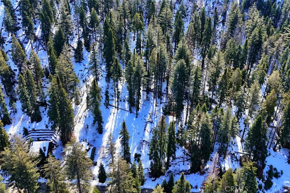 7420 Henness Ridge Road Yosemite, CA 95389