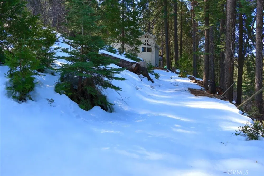 7420 Henness Ridge Road Yosemite, CA 95389