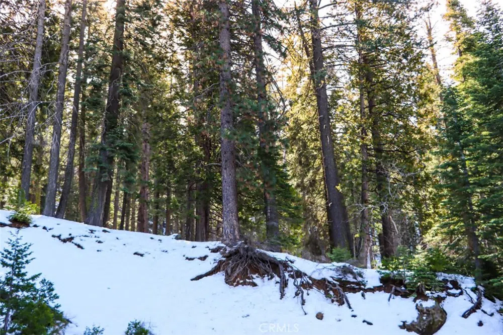 7420 Henness Ridge Road Yosemite, CA 95389