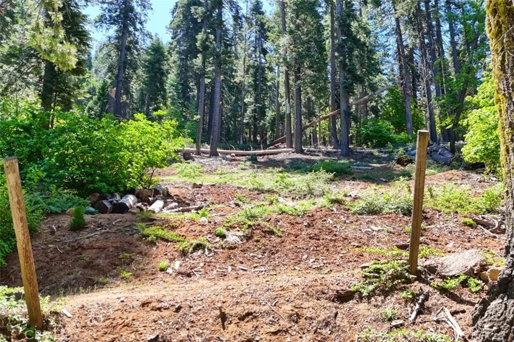 7420 Henness Ridge Road Yosemite, CA 95389