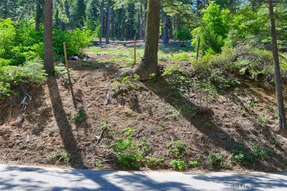 7420 Henness Ridge Road Yosemite, CA 95389