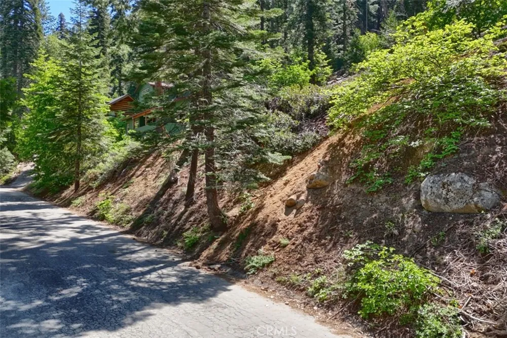 7420 Henness Ridge Road Yosemite, CA 95389