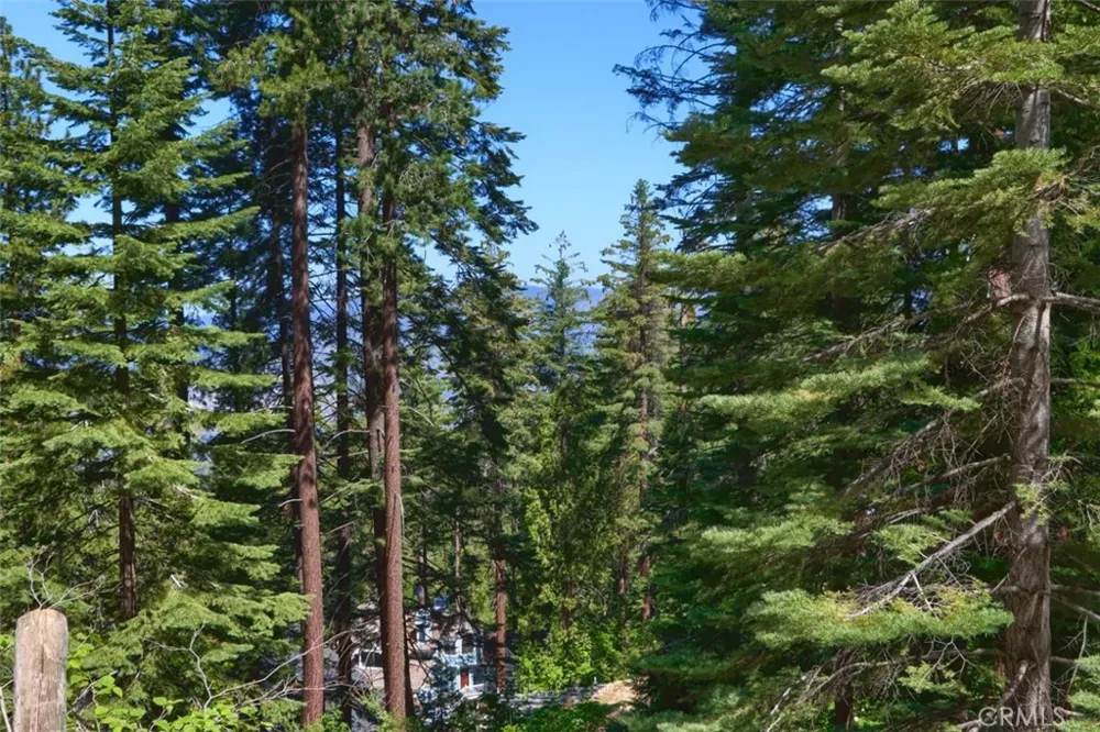 7420 Henness Ridge Road Yosemite, CA 95389