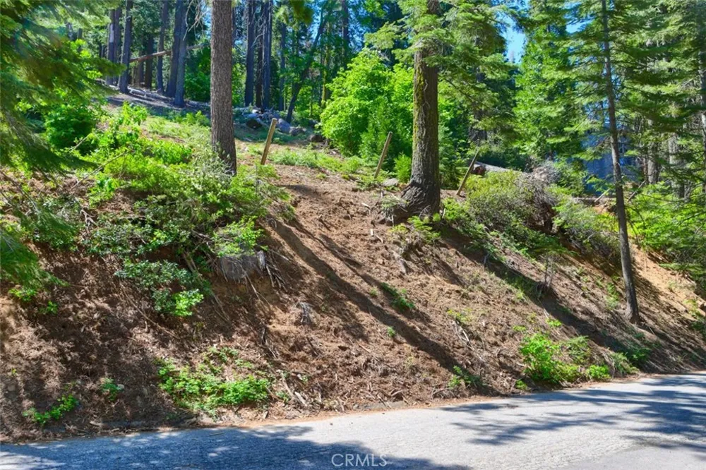 7420 Henness Ridge Road Yosemite, CA 95389