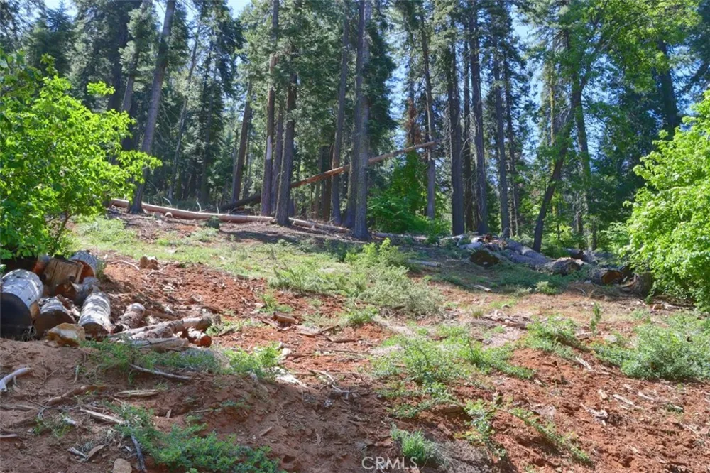 7420 Henness Ridge Road Yosemite, CA 95389